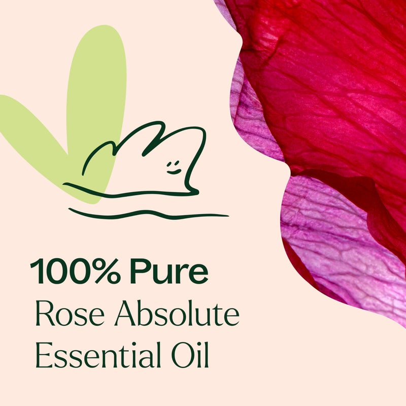 Plant Therapy Rose Absolute Essential Oil 100% Pure, Undiluted, Natural Aromatherapy, Therapeutic Grade 5 mL (1/6 oz) - Image 5